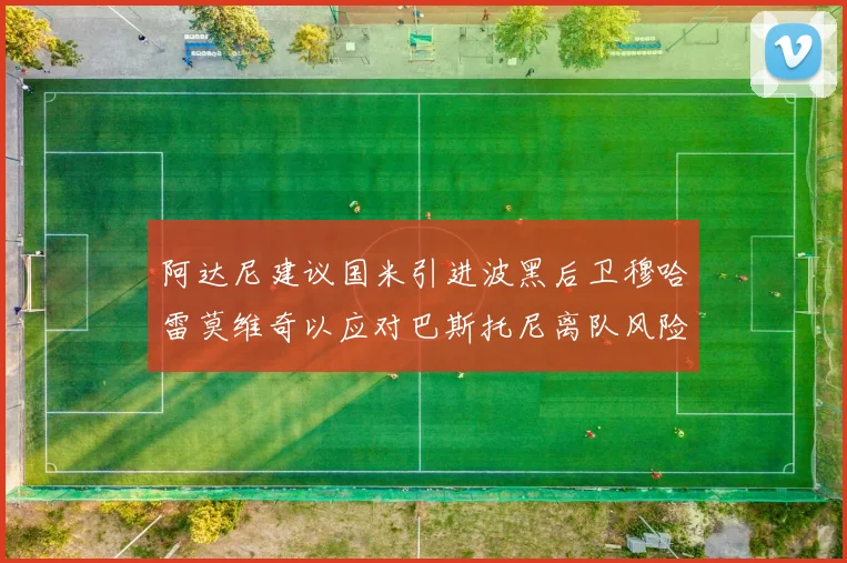 阿达尼建议国米引进波黑后卫穆哈雷莫维奇以应对巴斯托尼离队风险
